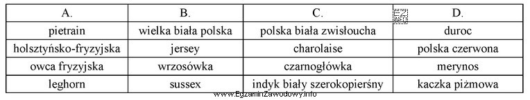 Mięsny kierunek użytkowania reprezentują rasy zwierząt gospodarskich 