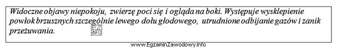 Opisane w ramce zachowanie oraz wygląd krowy wskazują na 