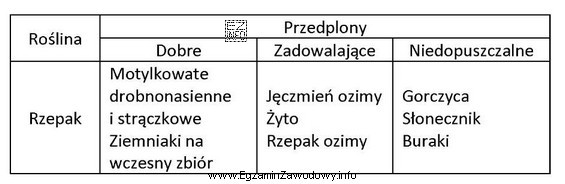 Która roślina jest najlepszym przedplonem w uprawie rzepaku?