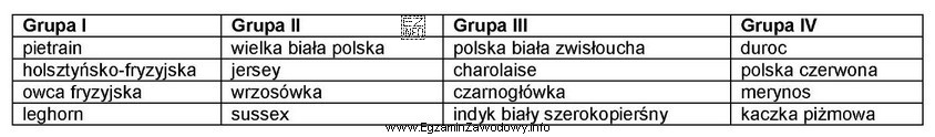 Mięsny kierunek użytkowania reprezentują rasy zwierząt gospodarskich 