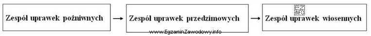 Przedstawiona kolejność następujących po sobie zespołów uprawek 