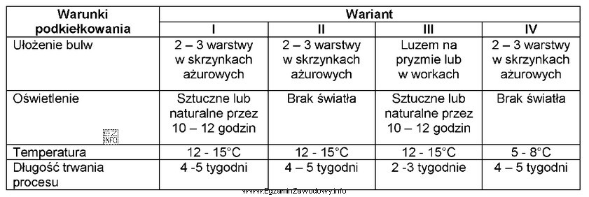 Który wariant zapewnia optymalne warunki podkiełkowania sadzeniaków?