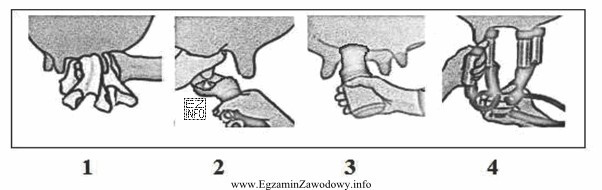 Na podstawie przedstawionych rysunków ustal prawidłową kolejność czynnoś