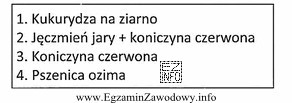 Pod którą roślinę w przedstawionym zmianowaniu należy 