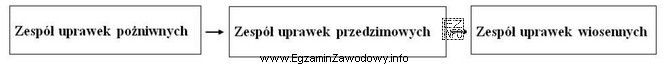 Przedstawiona kolejność następujących po sobie zespołów uprawek 