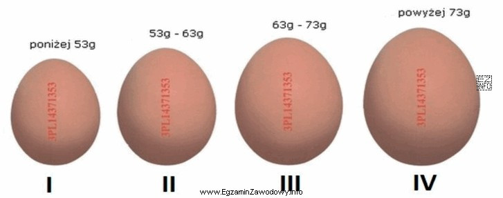 Jaja przeznaczone do sprzedaży w klasie wagowej L są 