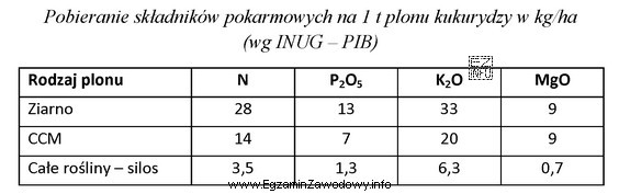 Oblicz, jaką ilość azotu należy zastosować w uprawie 1 