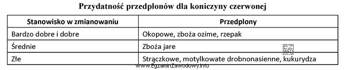 Który przedplon jest nieodpowiedni w uprawie koniczyny czerwonej?