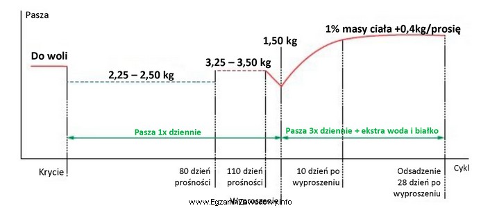 Na podstawie przedstawionego schematu żywienia oblicz, ile kilogramów 