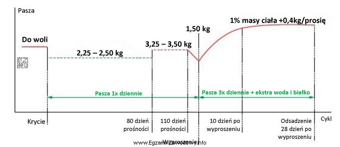 Na podstawie przedstawionego schematu żywienia oblicz, ile kilogramów mieszanki 