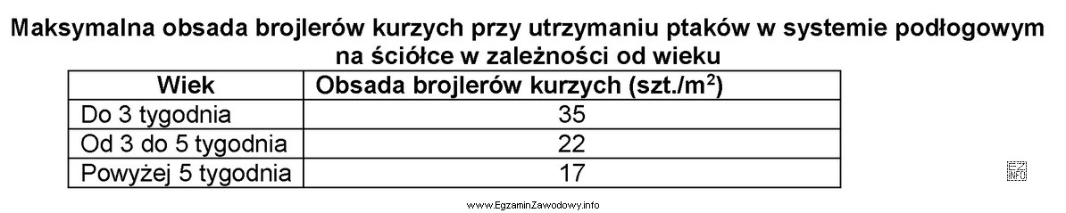 Oblicz maksymalną liczbę brojlerów kurzych w wieku 6 tygodni, zapewniają