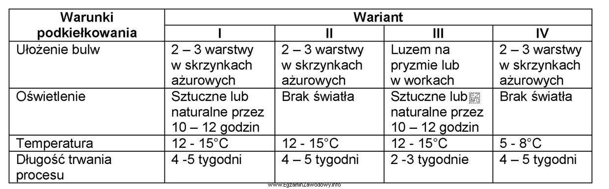 Który wariant zapewnia optymalne warunki podkiełkowania sadzeniaków?