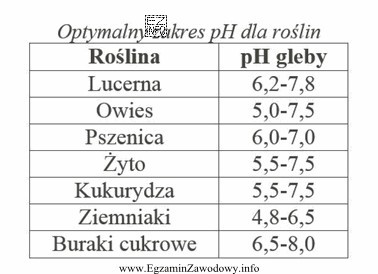 Na glebach kompleksu żytniego słabego można uprawiać