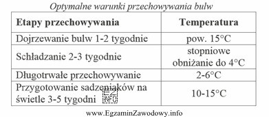 Podkiełkowywanie ziemniaków powinno przeprowadzać się w zakresie temperatur