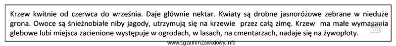Którego krzewu miododajnego dotyczy opis?