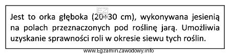 Której orki dotyczy opis?