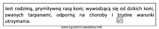 Której rasy koni dotyczy zamieszczony opis?