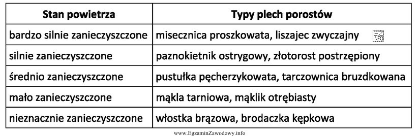 Na pniach drzew w parku zaobserwowano porosty: pustułkę pę