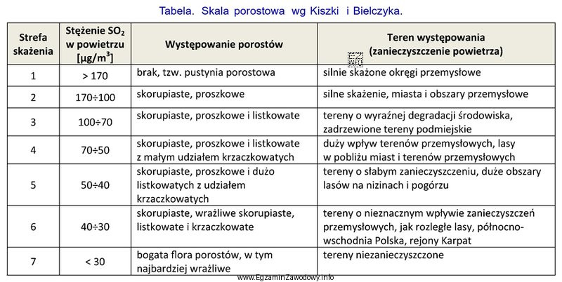 Na podstawie informacji zawartych w tabeli określ, jakie stęż