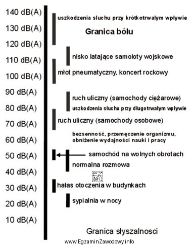 Bezsenność, przemęczenie organizmu, obniżenie wydajności nauki i 