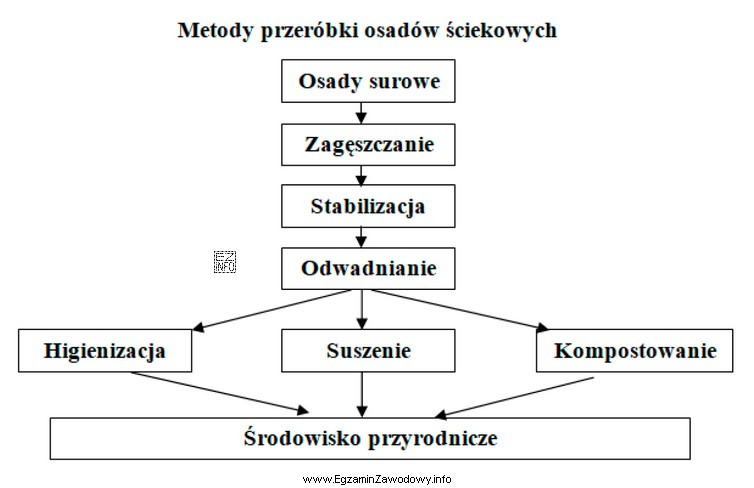 Podczas przeróbki osadów ściekowych poletka i laguny wykorzystuje 