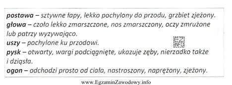 Opisane w tabeli objawy sygnalizują u psa