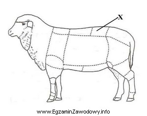 Na rysunku przedstawiającym pokrój owcy część 