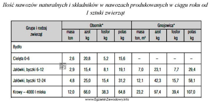 Oblicz roczną produkcję obornika w gospodarstwie przy oborowym systemie utrzymania 