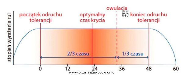 Odczytaj ze schematu, kiedy przypada optymalny termin krycia lochy przy 