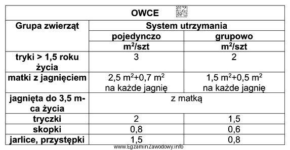 Oblicz minimalną powierzchnię utrzymania w systemie grupowym dla 12 matek, każ