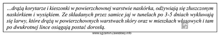 Przedstawiony opis charakteryzuje