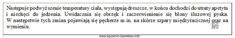 Przedstawiony opis wskazuje na