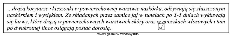 Przedstawiony opis charakteryzuje