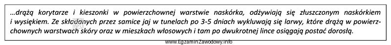Przedstawiony opis charakteryzuje