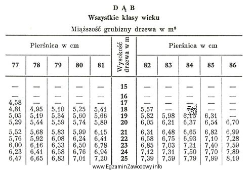 Miąższość grubizny dębu o wysokości 21,5 metrów 