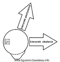 Na rysunku przedstawiono schemat pnia drzewa przeznaczonego do ścięcia. 