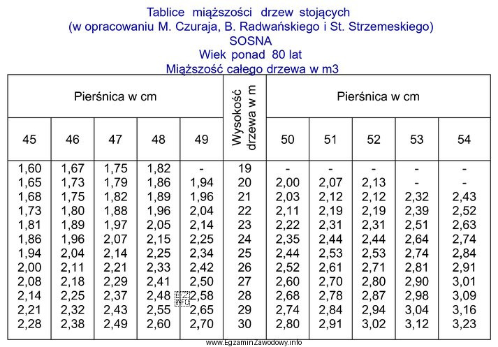 Miąższość całego drzewa 100 letniej sosny o wysokości 26,5 