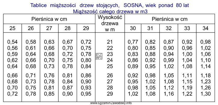 Miąższość całego drzewa 85 letniej sosny o pierśnicy 33 