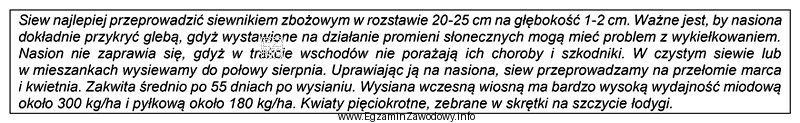Której rośliny uprawnej dotyczy zamieszczony opis siewu?