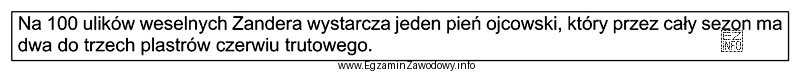 Ile ulików weselnych trapezoidalnych należy wystawić na trutowisku, 