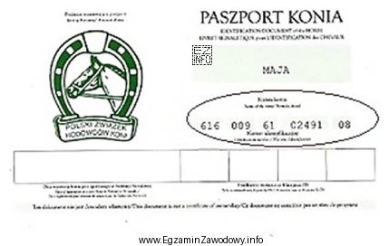 Ostatnie dwie cyfry w numerze identyfikacyjnym konia oznaczają