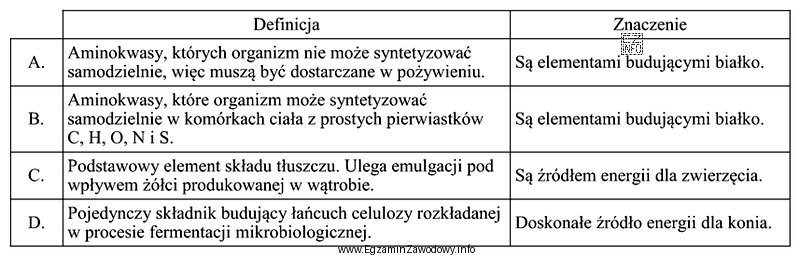 Wskaż definicję i znaczenie aminokwasów egzogennych.