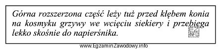 Przedstawiony w ramce opis dopasowania elementu uprzęży szorowej dotyczy