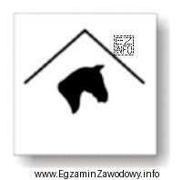 Znak postawiony na szlaku konnym oznacza