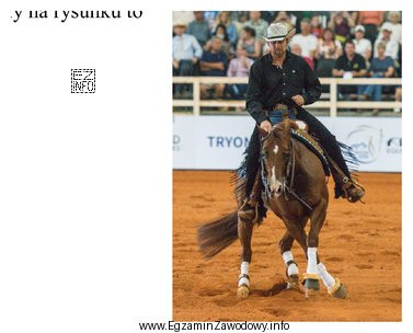 Element przejazdu w reiningu przedstawiony na rysunku to