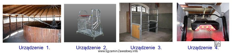 Które urządzenie nie występuje w stajni lub 