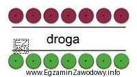 Przedstawione na rysunku zestawienie drzew liściastych po obu stronach 