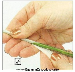 Którą technikę florystyczną przedstawiono na rysunku?