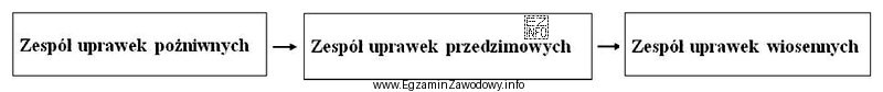 Przedstawiona kolejność następujących po sobie zespołów uprawek 