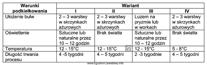 Który wariant zapewnia optymalne warunki podkiełkowania sadzeniaków?